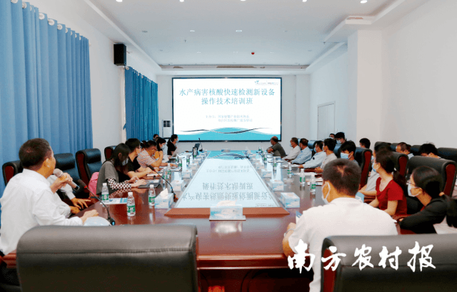 電白區水產病害核酸快速檢測新設備操作技術培訓活動現場